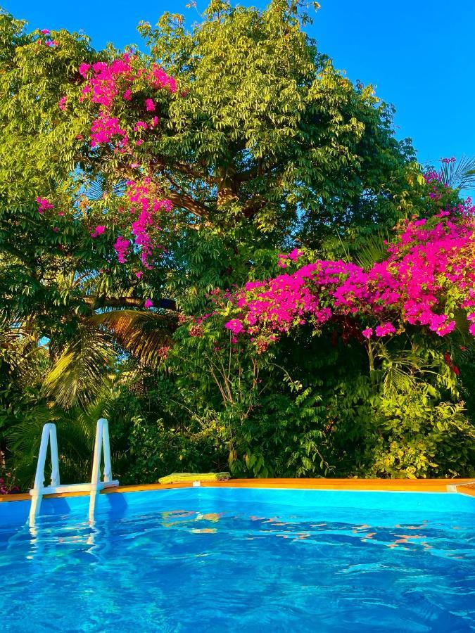 Villa Nature Caraibe Lodge, Vue Mer, Piscine Privee Deshaies Exteriör bild