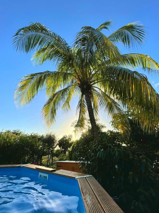 Villa Nature Caraibe Lodge, Vue Mer, Piscine Privee Deshaies Exteriör bild