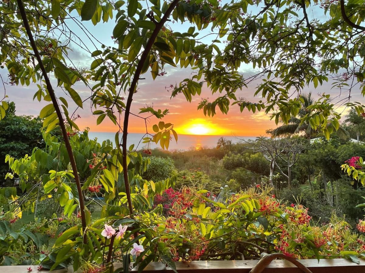 Villa Nature Caraibe Lodge, Vue Mer, Piscine Privee Deshaies Exteriör bild