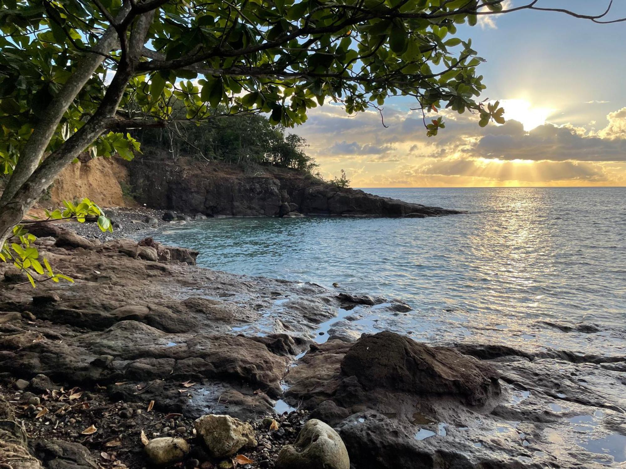 Villa Nature Caraibe Lodge, Vue Mer, Piscine Privee Deshaies Exteriör bild