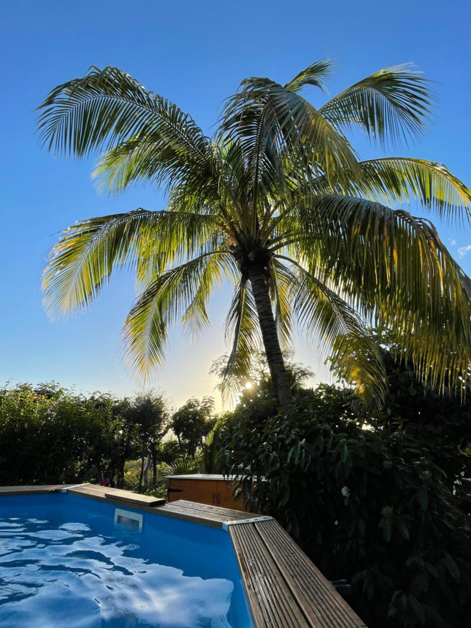 Villa Nature Caraibe Lodge, Vue Mer, Piscine Privee Deshaies Exteriör bild